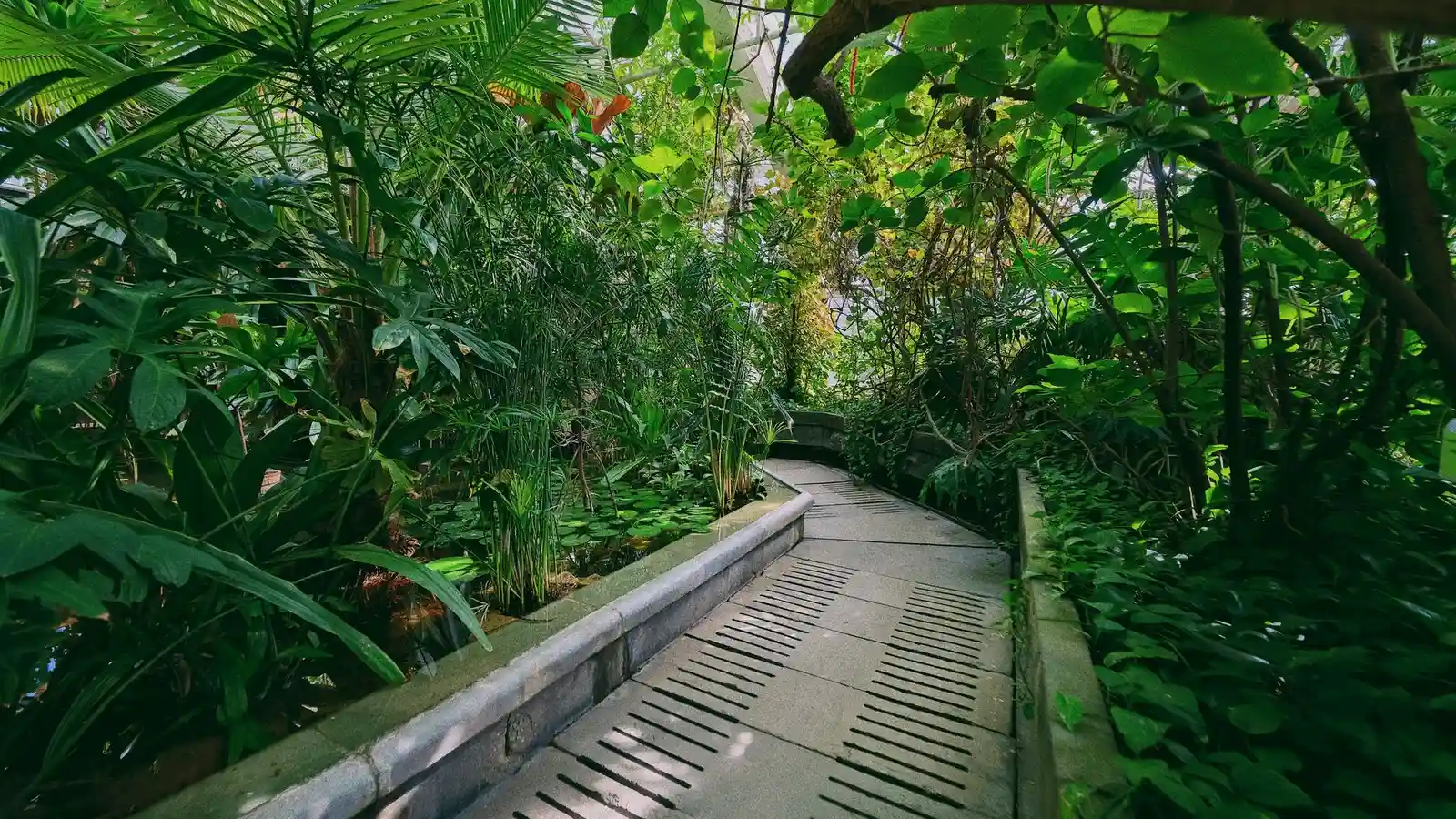 Spice Plantation Tour in Goa