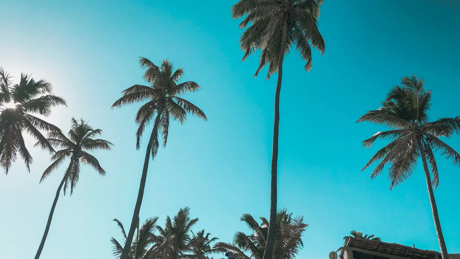 Goa Trip Planner — Plan the Perfect Goa Holiday